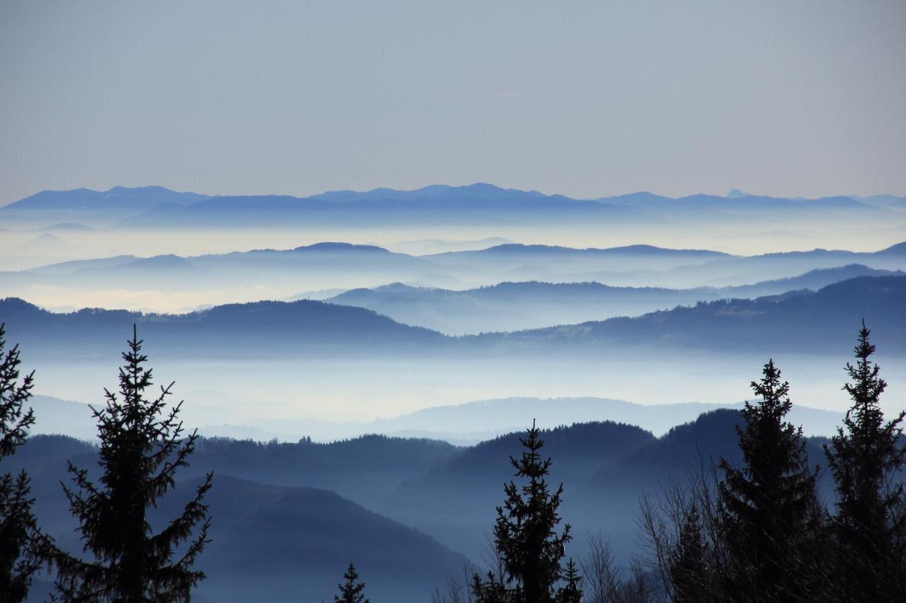 Velika Planina Chalet Slovenka オスレンドネスロヴェンスカ エクステリア 写真
