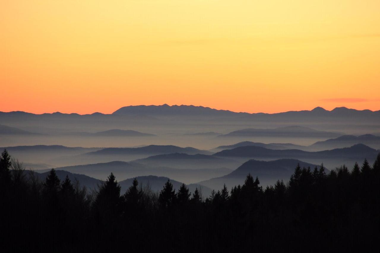 Velika Planina Chalet Slovenka オスレンドネスロヴェンスカ エクステリア 写真