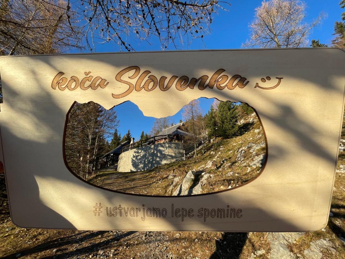 Velika Planina Chalet Slovenka オスレンドネスロヴェンスカ エクステリア 写真