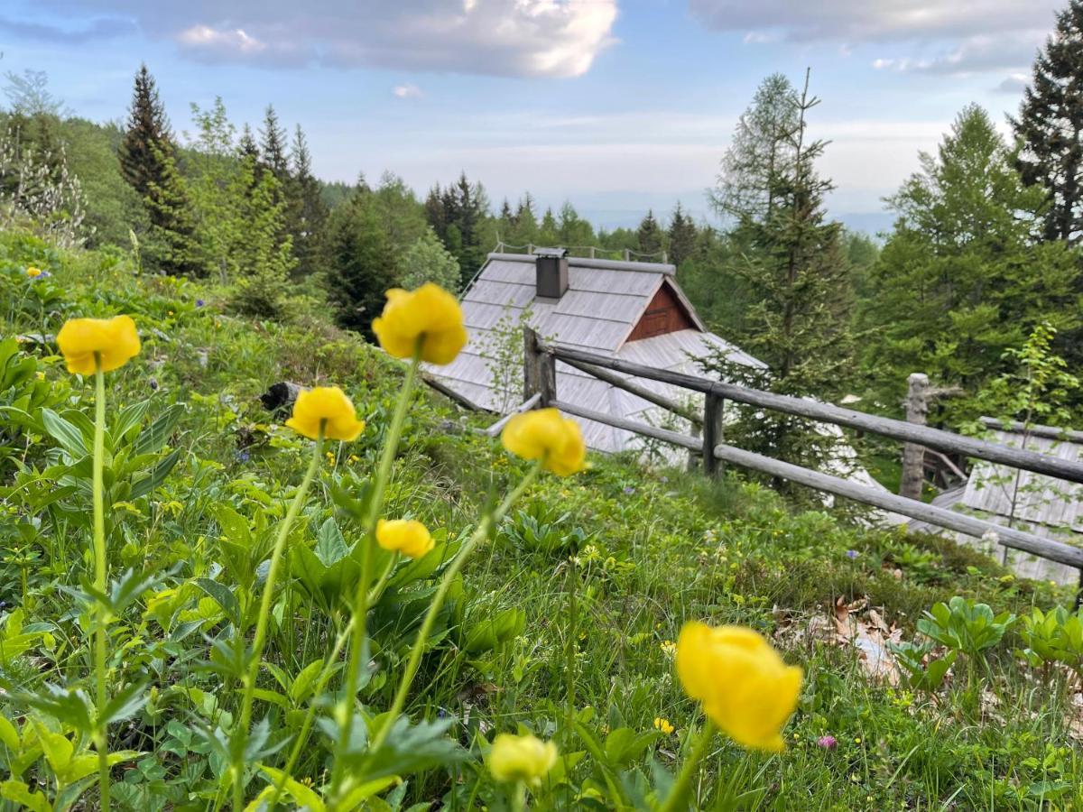 Velika Planina Chalet Slovenka オスレンドネスロヴェンスカ エクステリア 写真