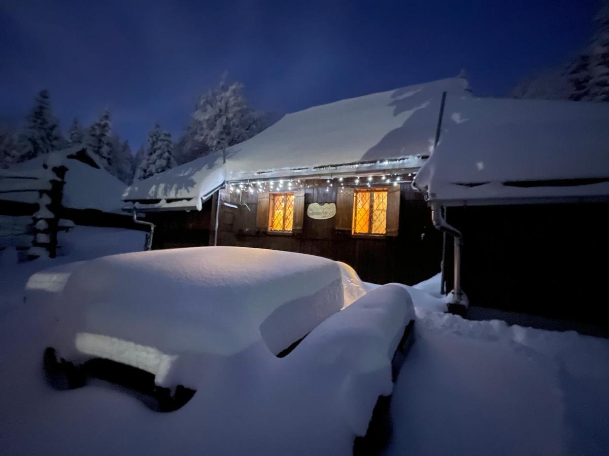 Velika Planina Chalet Slovenka オスレンドネスロヴェンスカ エクステリア 写真